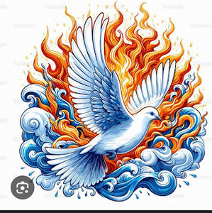 Meet your Posher, Rosemary